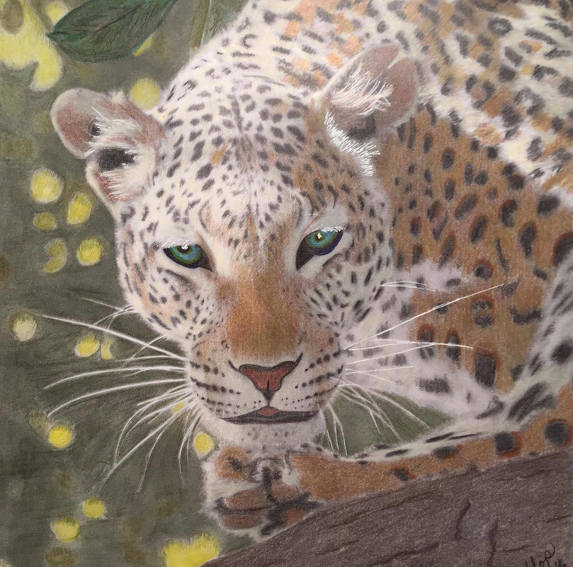 Leopard from the Beautiful Creatures grayscale coloring book. Colored by Bonnie Flamm Stichter