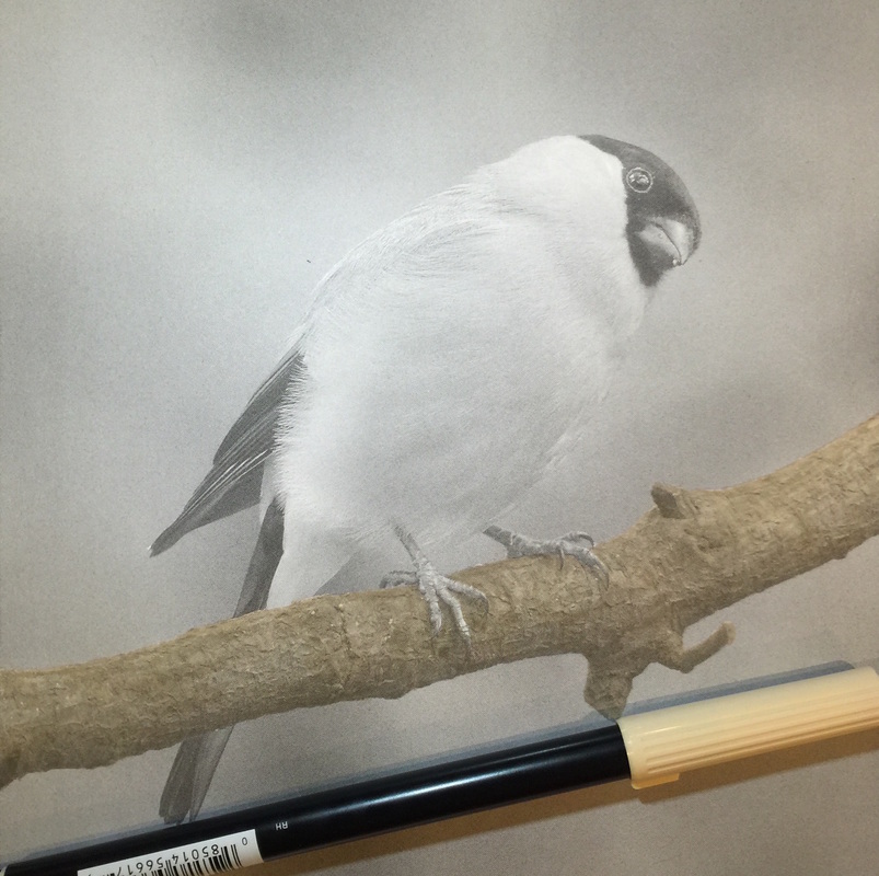 WIP Bird from the Beautiful Creatures grayscale coloring book