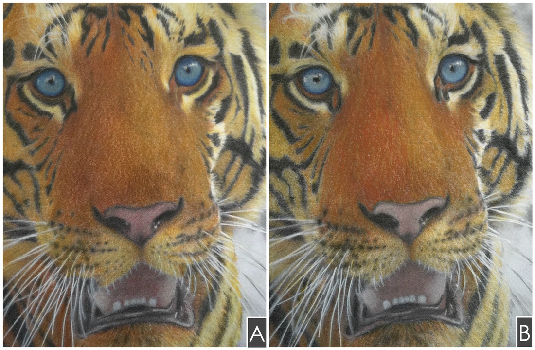 Prismacolor Premiers vs. Faber Castell Polychromos. Which was colored with which?