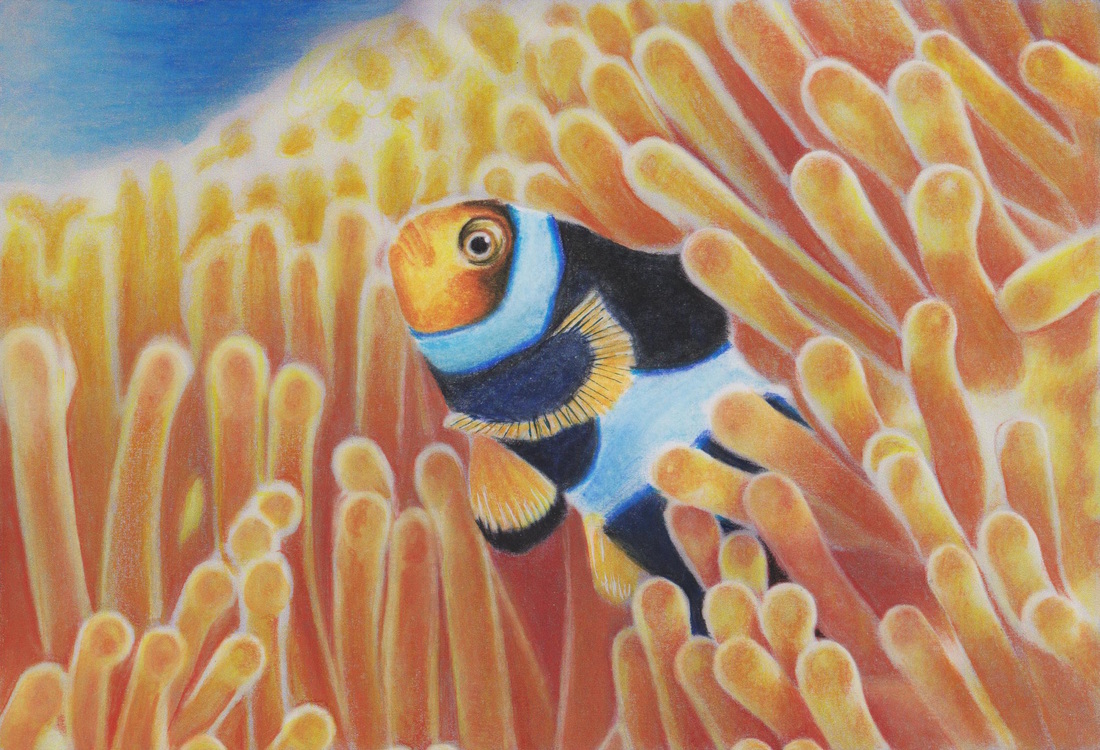 Clownfish from the Beautiful Creatures grayscale coloring book (www.huelish.com). Colored by Jones Flores. 