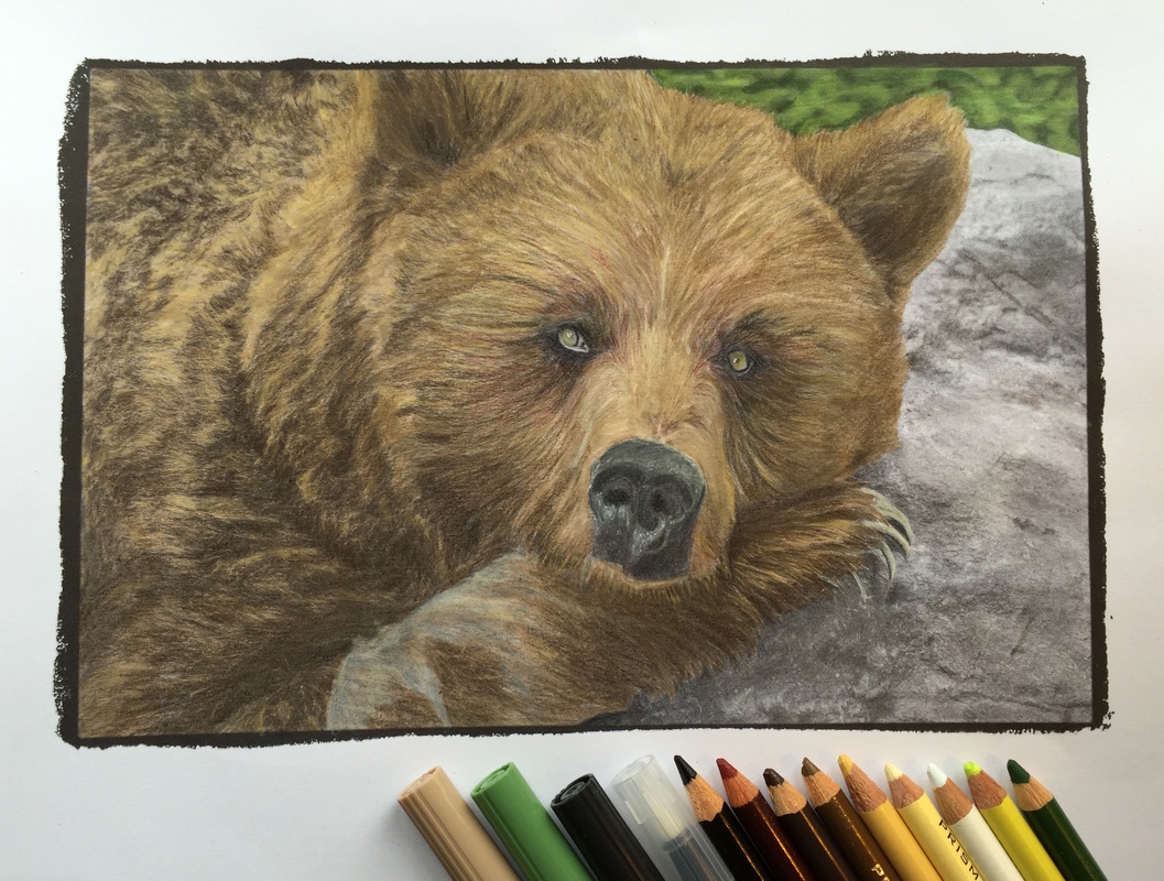 Bear from Beautiful Creatures grayscale coloring book. Colored with Tombows and colored pencils.