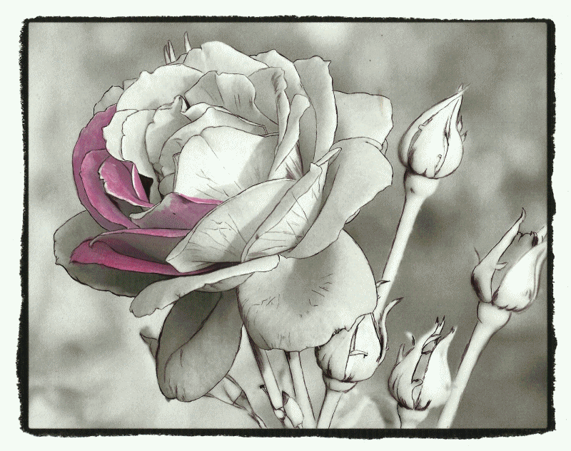 From the Beautiful Nature grayscale coloring book: www.huelish.com